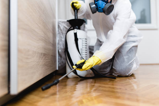 Best Wasp Removal Services  in Reinbeck, IA