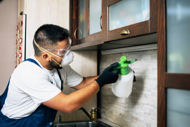 Best Affordable Pest Control Services  in Reinbeck, IA