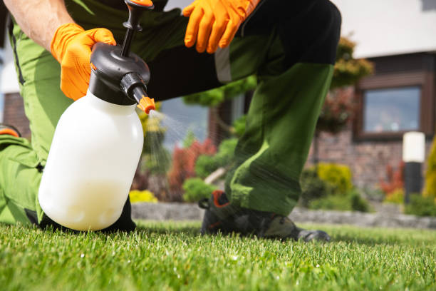 Best Rat Extermination Near Me  in Reinbeck, IA