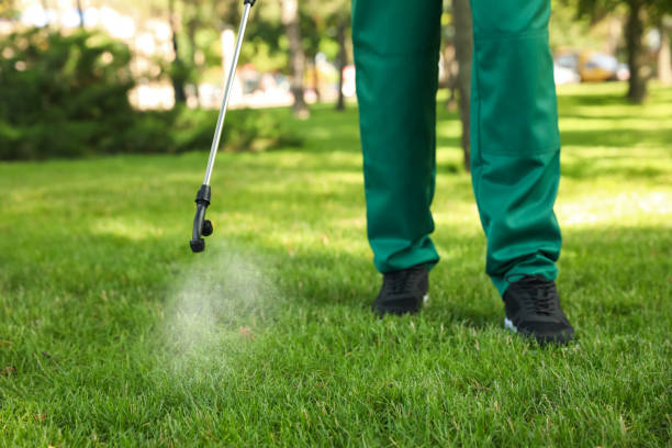 Best Affordable Pest Control Services  in Reinbeck, IA
