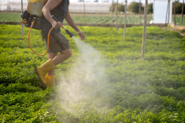 Best Pest Control Near Me  in Reinbeck, IA