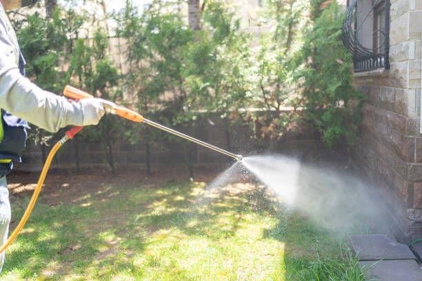 Best Local Pest Control Services  in Reinbeck, IA