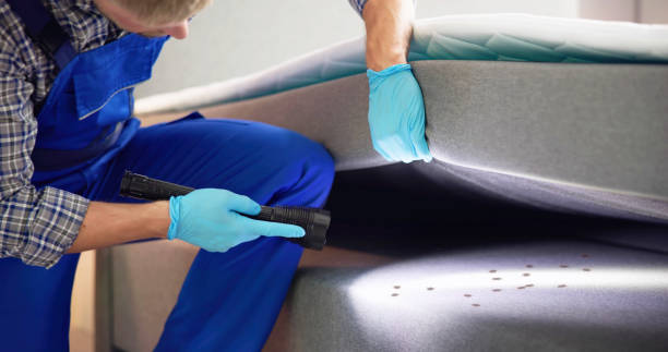 Best Residential Pest Control  in Reinbeck, IA
