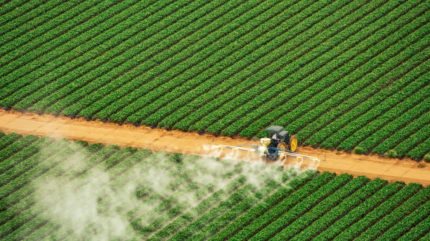 Best Best Pest Control Companies  in Reinbeck, IA