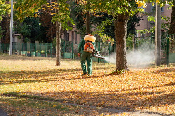 Reliable Reinbeck, IA Pest Control Solutions